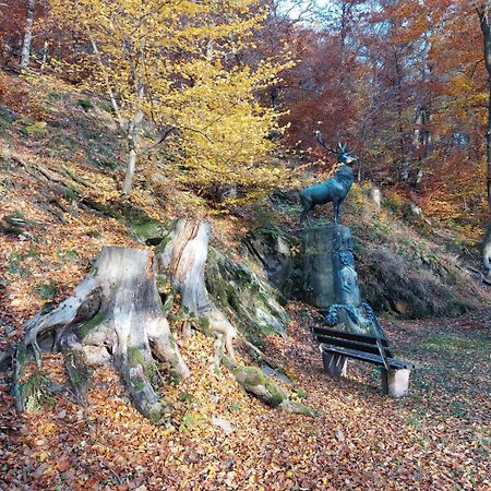 Haus Anastasia Stolberg i. Harz Esterno foto