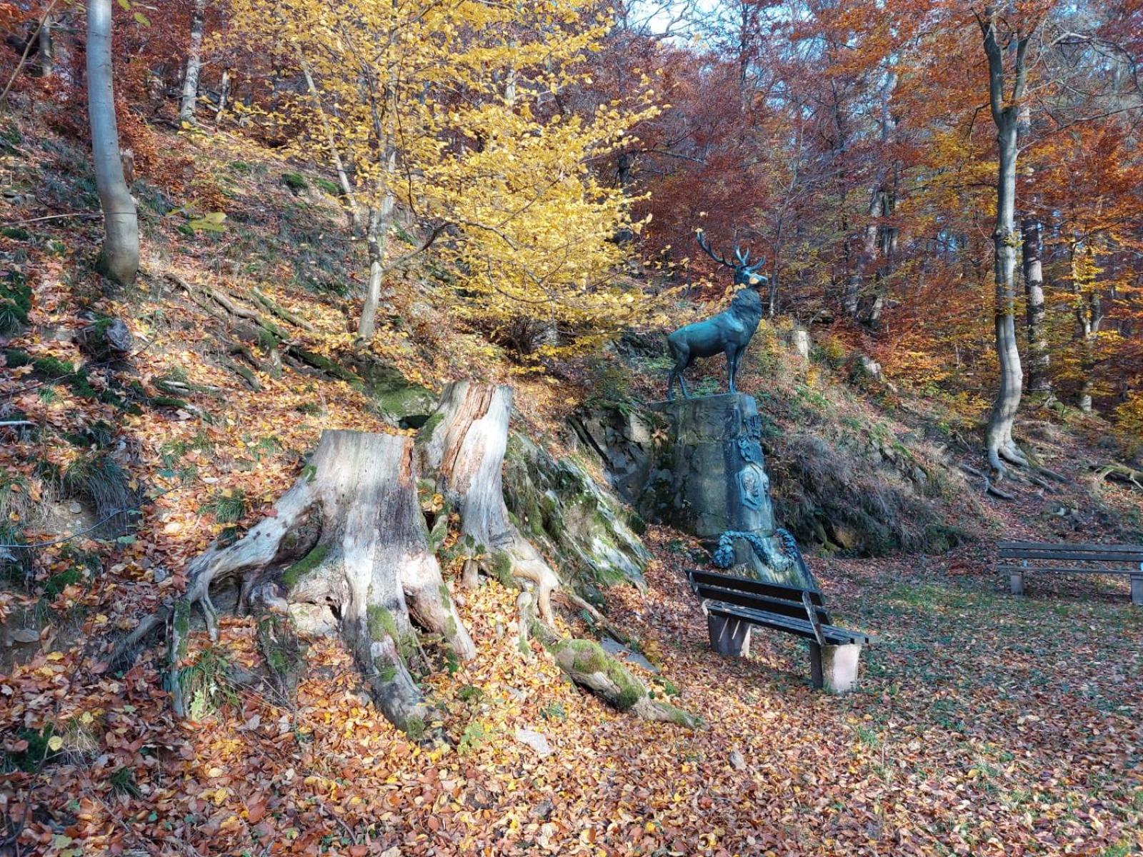 Haus Anastasia Stolberg i. Harz Esterno foto